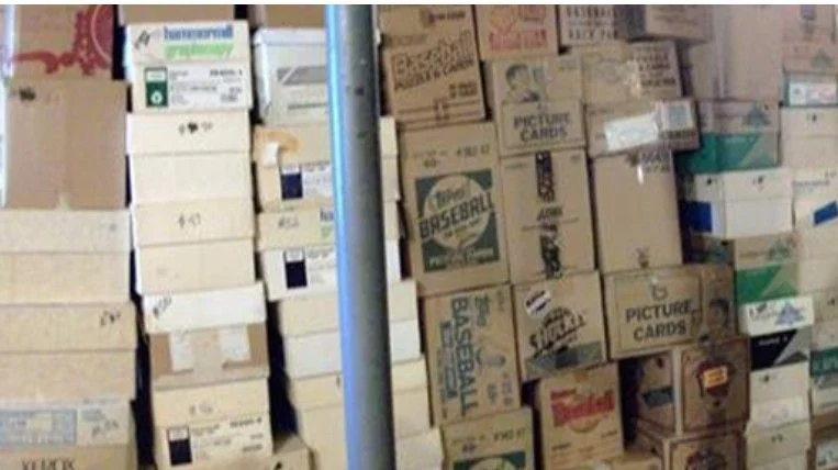 Top Features to Look for in Card Boxes for Sports Cards
